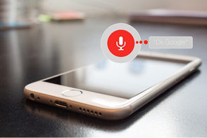 Voice Search