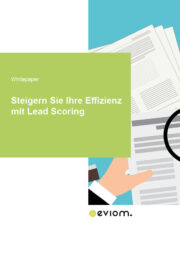 Effizienzsteigerung mit Lead Scoring