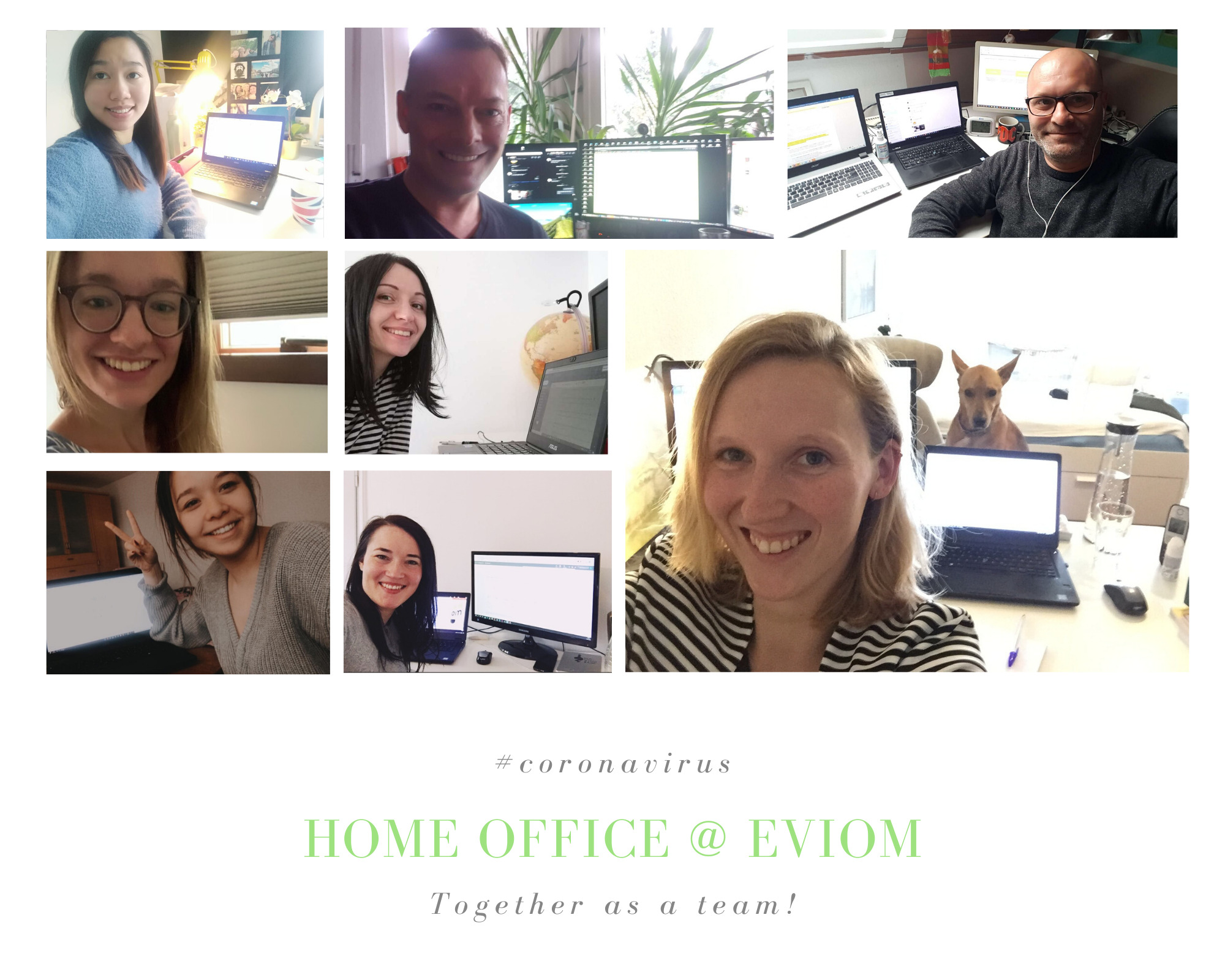 eviom Homeoffice